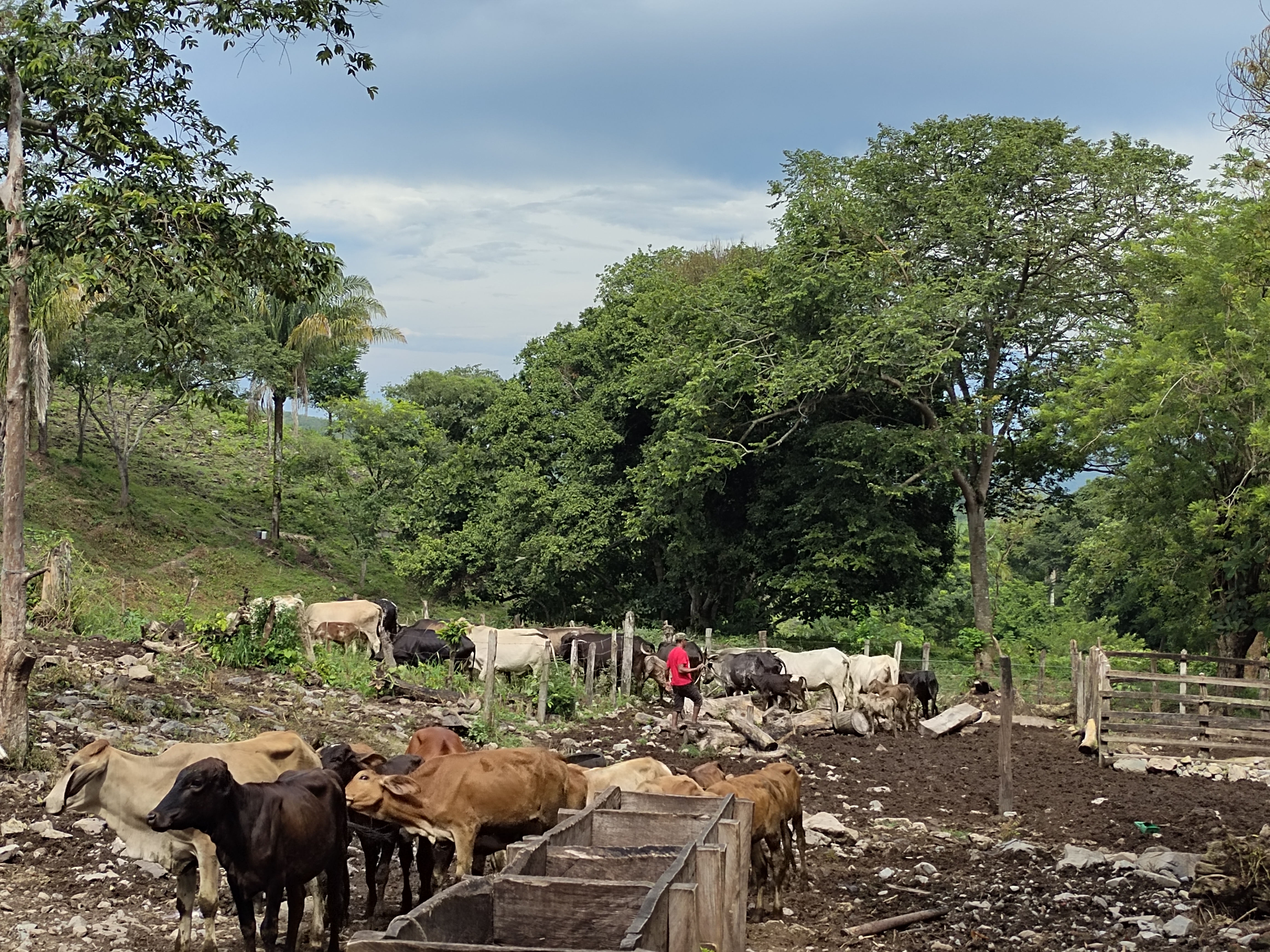 CGIAR Climate Action program