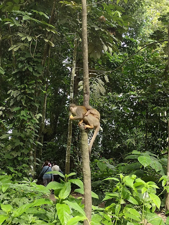 Foto 4